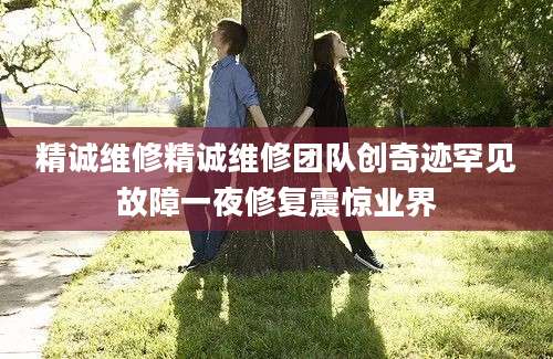 精诚维修精诚维修团队创奇迹罕见故障一夜修复震惊业界