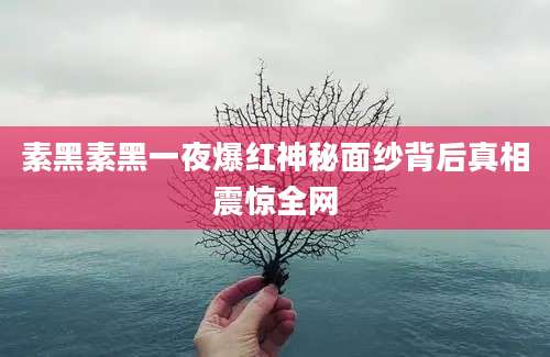 素黑素黑一夜爆红神秘面纱背后真相震惊全网