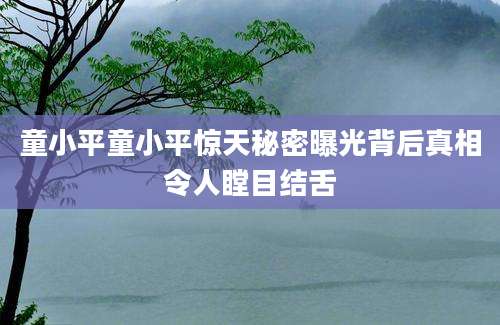童小平童小平惊天秘密曝光背后真相令人瞠目结舌