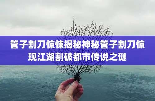 管子割刀惊悚揭秘神秘管子割刀惊现江湖割破都市传说之谜