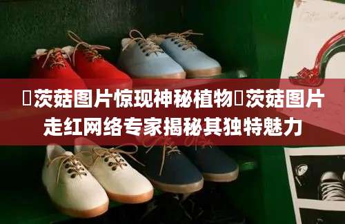 簕茨菇图片惊现神秘植物簕茨菇图片走红网络专家揭秘其独特魅力