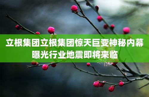 立根集团立根集团惊天巨变神秘内幕曝光行业地震即将来临