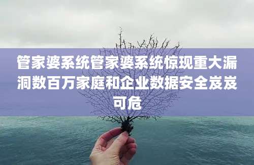 管家婆系统管家婆系统惊现重大漏洞数百万家庭和企业数据安全岌岌可危