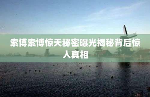索博索博惊天秘密曝光揭秘背后惊人真相