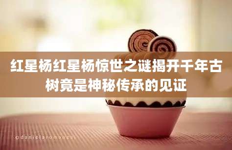 红星杨红星杨惊世之谜揭开千年古树竟是神秘传承的见证