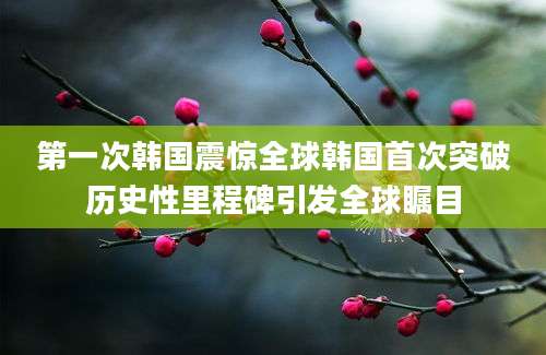 第一次韩国震惊全球韩国首次突破历史性里程碑引发全球瞩目