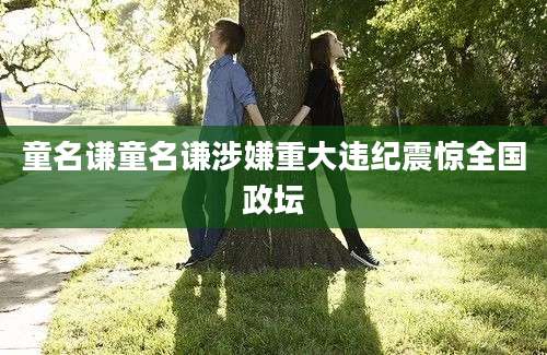 童名谦童名谦涉嫌重大违纪震惊全国政坛