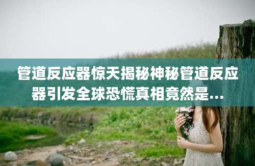 管道反应器惊天揭秘神秘管道反应器引发全球恐慌真相竟然是...