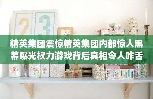 精英集团震惊精英集团内部惊人黑幕曝光权力游戏背后真相令人咋舌