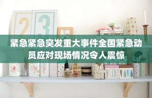 紧急紧急突发重大事件全国紧急动员应对现场情况令人震惊