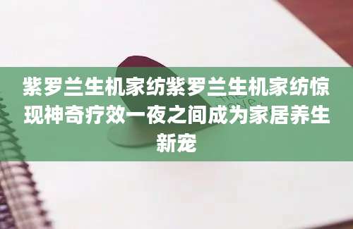 紫罗兰生机家纺紫罗兰生机家纺惊现神奇疗效一夜之间成为家居养生新宠