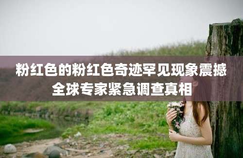 粉红色的粉红色奇迹罕见现象震撼全球专家紧急调查真相