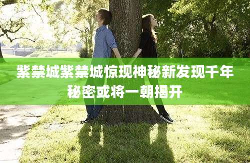 紫禁城紫禁城惊现神秘新发现千年秘密或将一朝揭开