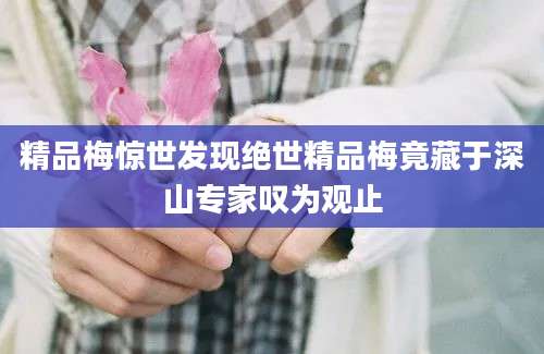 精品梅惊世发现绝世精品梅竟藏于深山专家叹为观止