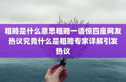 粗略是什么意思粗略一语惊四座网友热议究竟什么是粗略专家详解引发热议