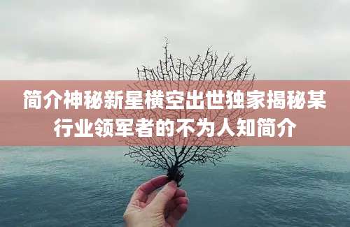简介神秘新星横空出世独家揭秘某行业领军者的不为人知简介