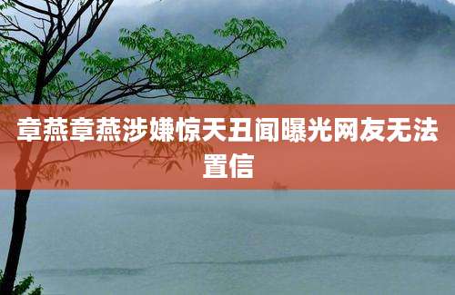 章燕章燕涉嫌惊天丑闻曝光网友无法置信