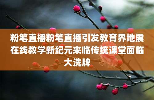 粉笔直播粉笔直播引发教育界地震在线教学新纪元来临传统课堂面临大洗牌