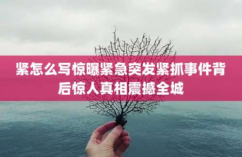 紧怎么写惊曝紧急突发紧抓事件背后惊人真相震撼全城