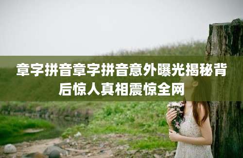章字拼音章字拼音意外曝光揭秘背后惊人真相震惊全网
