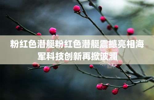 粉红色潜艇粉红色潜艇震撼亮相海军科技创新再掀波澜