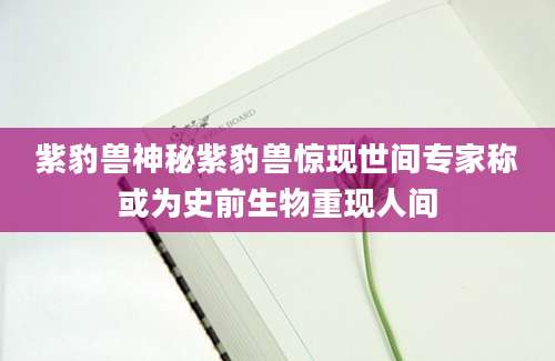 紫豹兽神秘紫豹兽惊现世间专家称或为史前生物重现人间