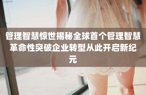 管理智慧惊世揭秘全球首个管理智慧革命性突破企业转型从此开启新纪元