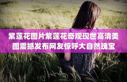 紫莲花图片紫莲花奇观现世高清美图震撼发布网友惊呼大自然瑰宝