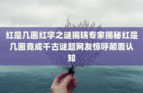 红是几画红字之谜揭晓专家揭秘红是几画竟成千古谜题网友惊呼颠覆认知