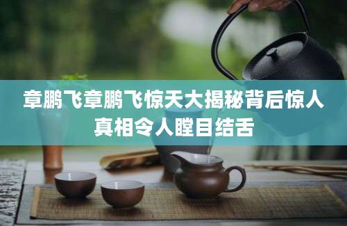 章鹏飞章鹏飞惊天大揭秘背后惊人真相令人瞠目结舌