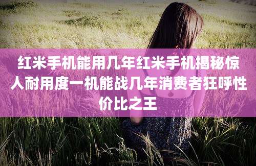红米手机能用几年红米手机揭秘惊人耐用度一机能战几年消费者狂呼性价比之王
