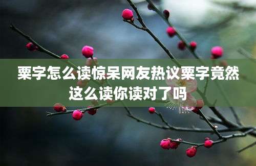 粟字怎么读惊呆网友热议粟字竟然这么读你读对了吗