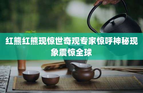 红熊红熊现惊世奇观专家惊呼神秘现象震惊全球