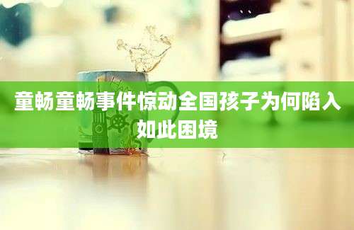 童畅童畅事件惊动全国孩子为何陷入如此困境