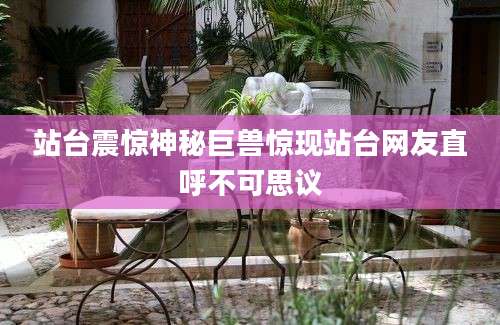 站台震惊神秘巨兽惊现站台网友直呼不可思议