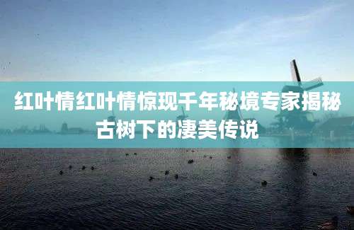 红叶情红叶情惊现千年秘境专家揭秘古树下的凄美传说