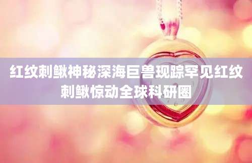 红纹刺鳅神秘深海巨兽现踪罕见红纹刺鳅惊动全球科研圈