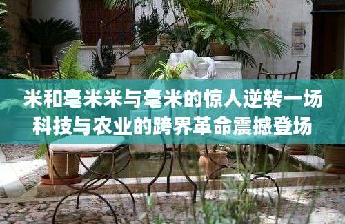 米和毫米米与毫米的惊人逆转一场科技与农业的跨界革命震撼登场