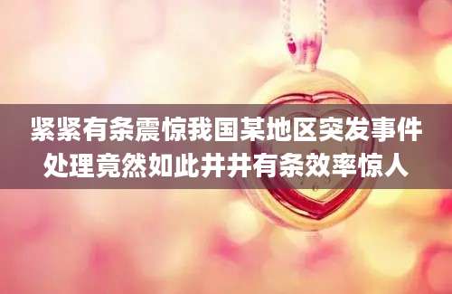 紧紧有条震惊我国某地区突发事件处理竟然如此井井有条效率惊人