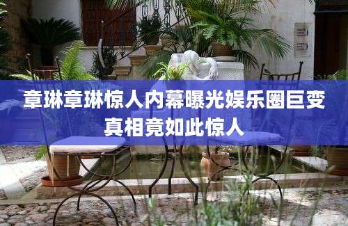 章琳章琳惊人内幕曝光娱乐圈巨变真相竟如此惊人
