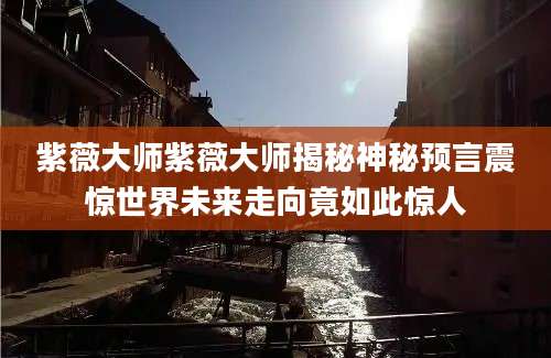 紫薇大师紫薇大师揭秘神秘预言震惊世界未来走向竟如此惊人