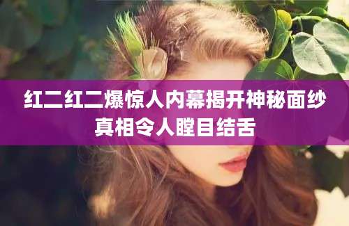 红二红二爆惊人内幕揭开神秘面纱真相令人瞠目结舌