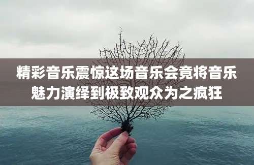 精彩音乐震惊这场音乐会竟将音乐魅力演绎到极致观众为之疯狂