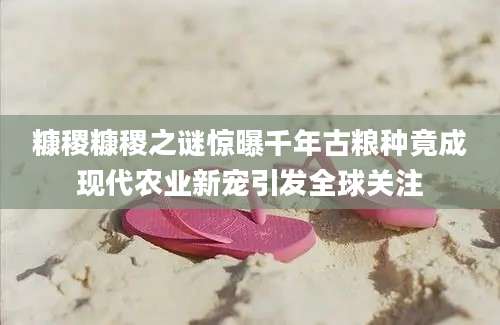 糠稷糠稷之谜惊曝千年古粮种竟成现代农业新宠引发全球关注