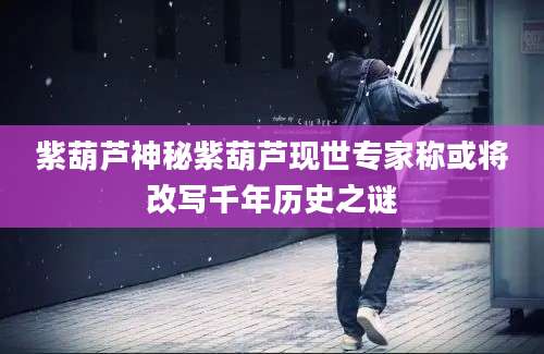 紫葫芦神秘紫葫芦现世专家称或将改写千年历史之谜
