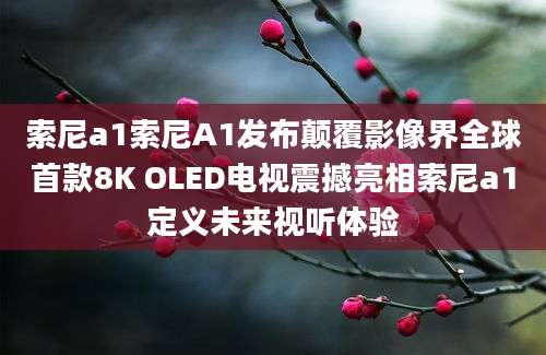 索尼a1索尼A1发布颠覆影像界全球首款8K OLED电视震撼亮相索尼a1定义未来视听体验