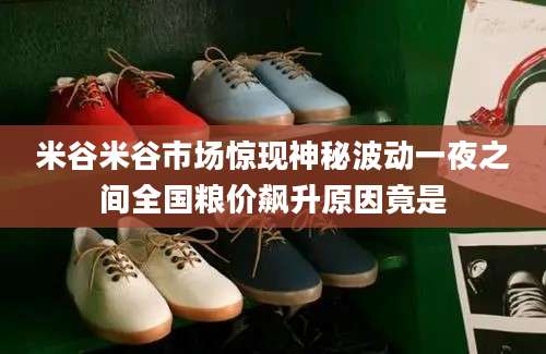 米谷米谷市场惊现神秘波动一夜之间全国粮价飙升原因竟是