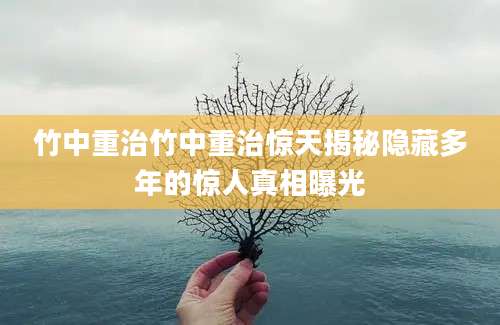 竹中重治竹中重治惊天揭秘隐藏多年的惊人真相曝光