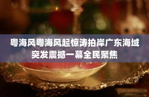 粤海风粤海风起惊涛拍岸广东海域突发震撼一幕全民聚焦