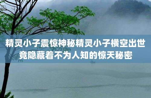 精灵小子震惊神秘精灵小子横空出世竟隐藏着不为人知的惊天秘密